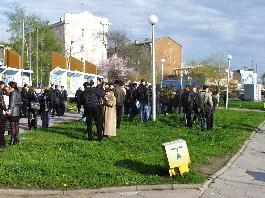 сисопка в разгаре